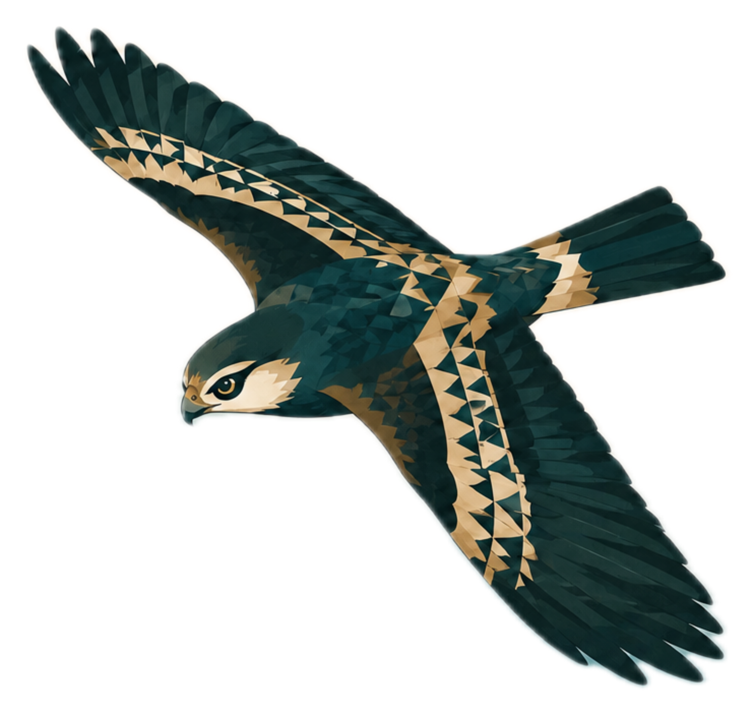 An ʻio, the Hawaiian hawk, in flight
